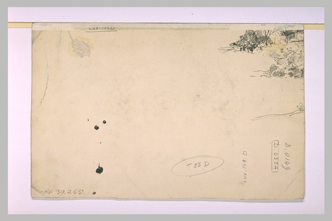 A. Carlos-Lefebvre - Croquis fragmentaire d'arbres et de murs