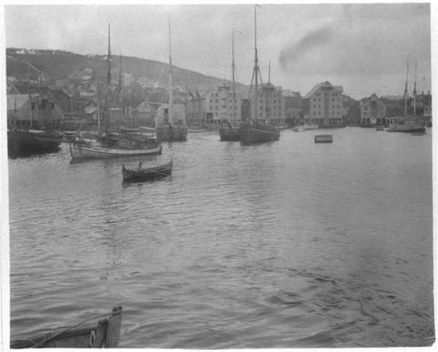 Ville et bateaux au bord d'un fjord - Anonyme