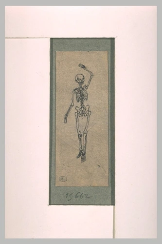 Emile Félix Gaulard - Squelette debout, de face, levant le bras gauche