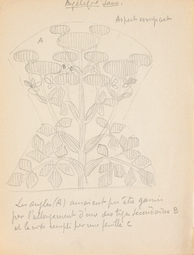Eugène Grasset - Angélique sauvage géométrisée