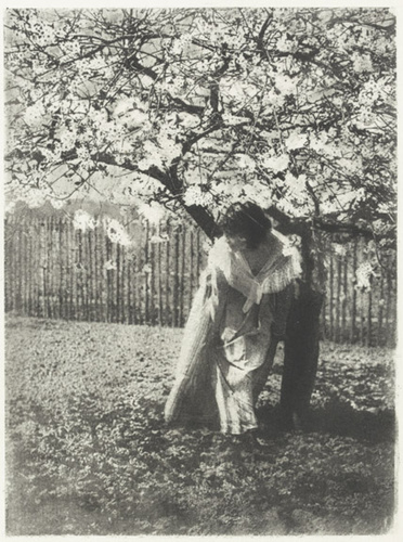 Charles Augustin Lhermitte - Femme sous un arbre, dans un jardin avec une paliss...