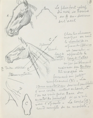 Paire de serre-livres têtes de cheval en laiton massif – vintage – 21,5 cm - Décoration