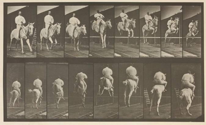 Eadweard Muybridge - Cheval blanc, saut d'obstacle