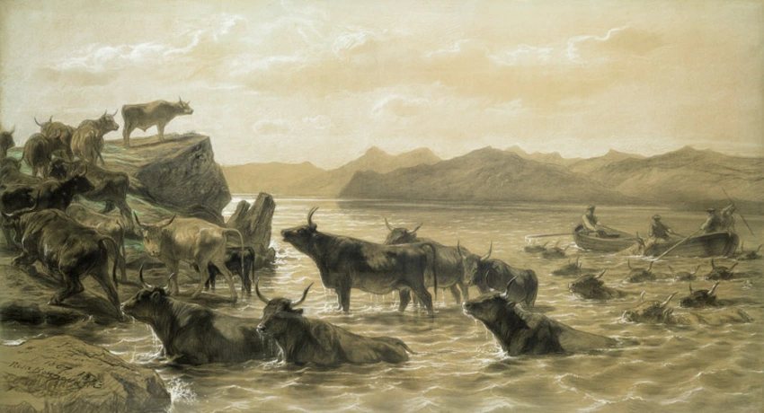Boeufs traversant un lac devant Ballachulish (Ecosse) - Rosa Bonheur