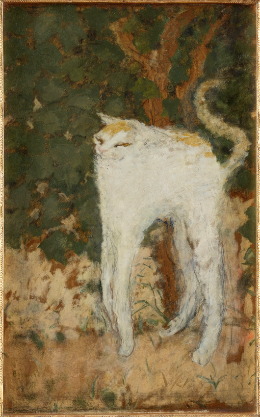 Pierre Bonnard - Le Chat blanc