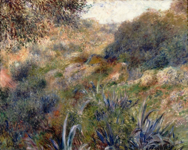 Auguste Renoir - Paysage algérien, le ravin de la femme sauvage