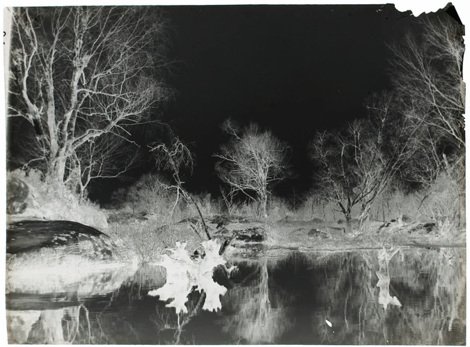 Henri Lemoine - Forêt de Fontainebleau, la mare aux fées ?