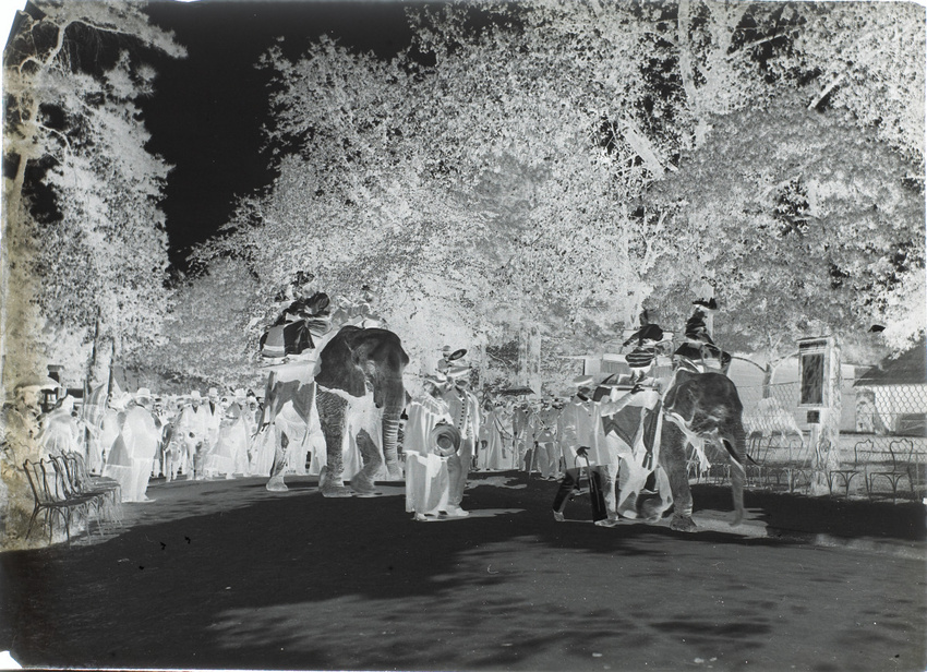 Henri Lemoine - Deux éléphants et promeneurs, jardin d'acclimatation