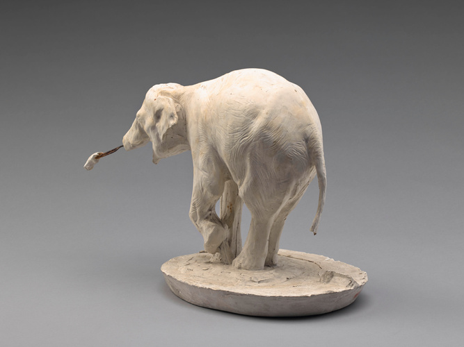 Rembrandt Bugatti - Eléphant blanc