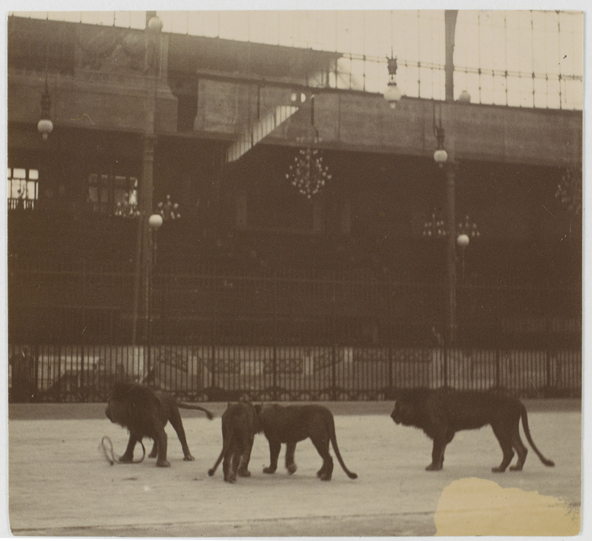 Albert Londe - Hippodrome de l'Alma, répétition de la pantomime Néron, les lions...