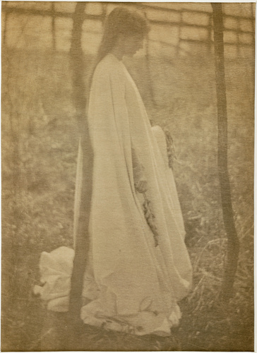 Clarence Hudson White - Autumn