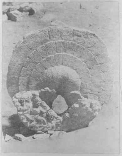 Théodule Devéria - Serapeum de Memphis - relief de sirène, revers