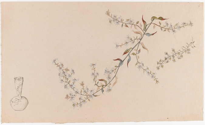Emile Gallé - Fleurs et modèle de vase