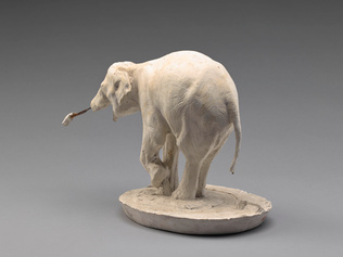 Rembrandt Bugatti - Eléphant blanc
