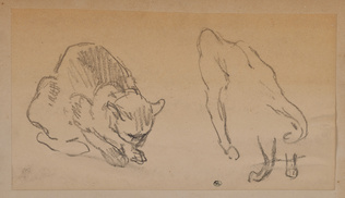 Théophile Alexandre Steinlen - Deux chats