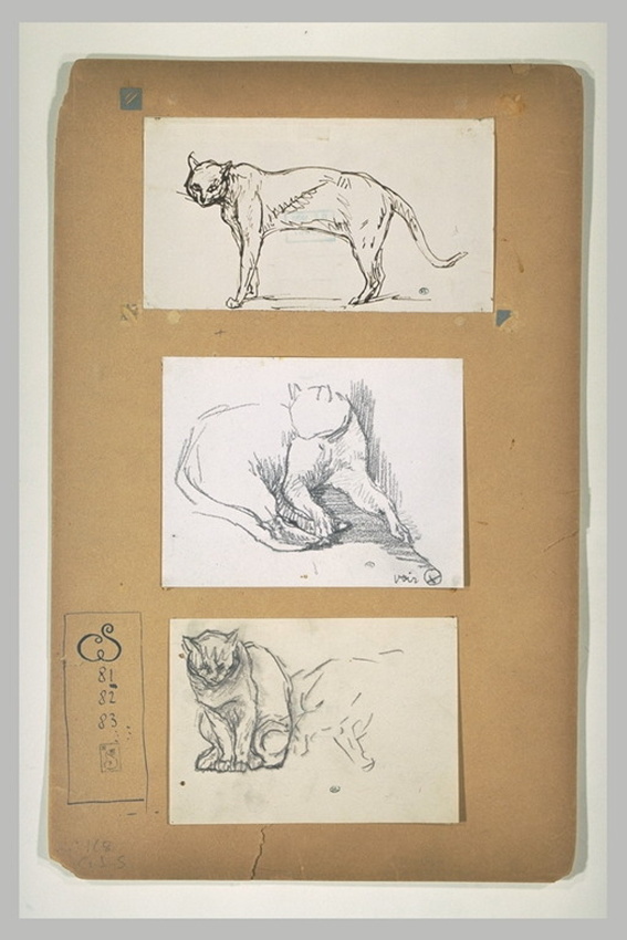 Théophile Alexandre Steinlen - Chat debout de profil à gauche
