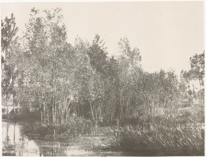 Eugène Cuvelier - Un marais