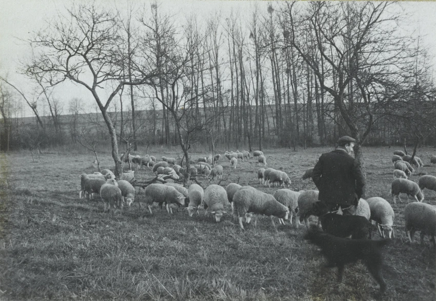 Charles Augustin Lhermitte - France, berger et ses moutons