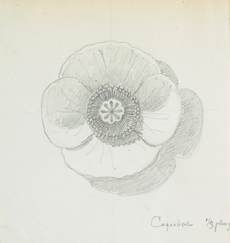 Victor Ruprich-Robert - Coquelicot