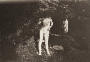 Pierre Bonnard - Marthe debout au soleil