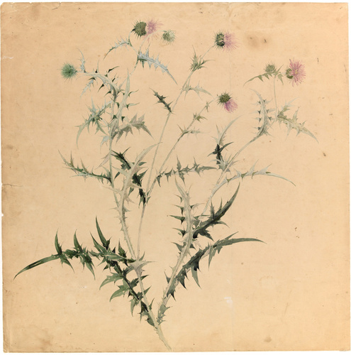 Emile Gallé - Tige de chardon en fleurs