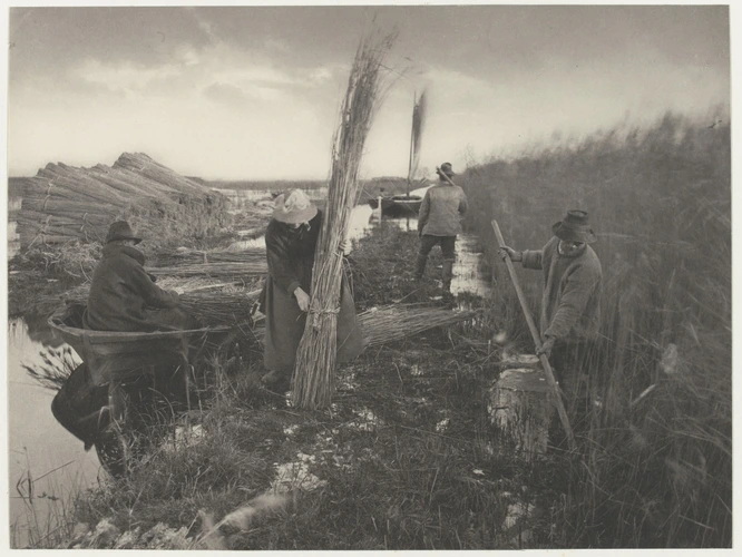 Peter Henry Emerson - During the Reed Harvest