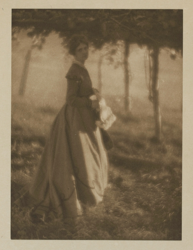 Clarence Hudson White - The Arbor