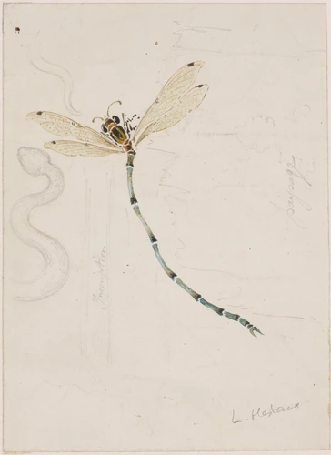 Louis Hestaux - Modèle de décor pour céramique et verrerie, libellule en vol