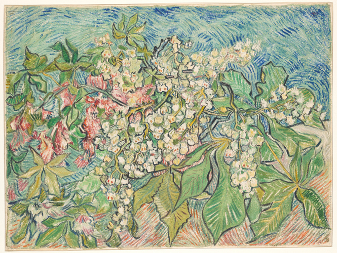 Blanche Derousse - Branches de marronniers en fleurs
