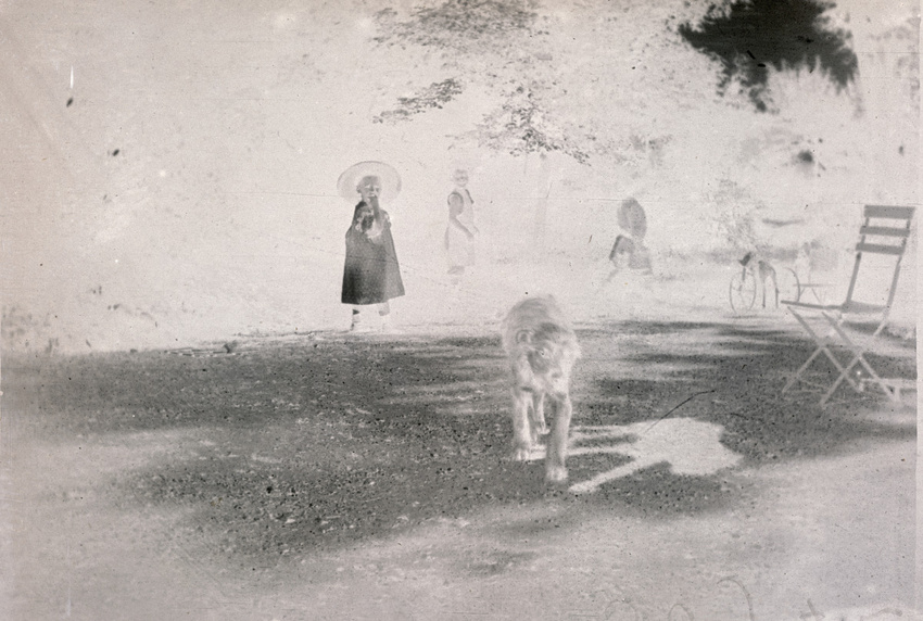 Pierre Bonnard - Un chien marchant vers l'objectif de Bonnard, au fond Robert et...