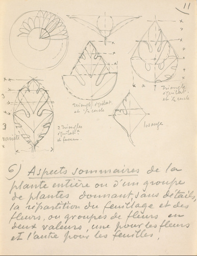 Eugène Grasset - Etude de la géométrie d'une fleur et de feuilles