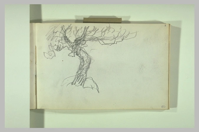 Jean-Ferdinand Chaigneau - Un arbre