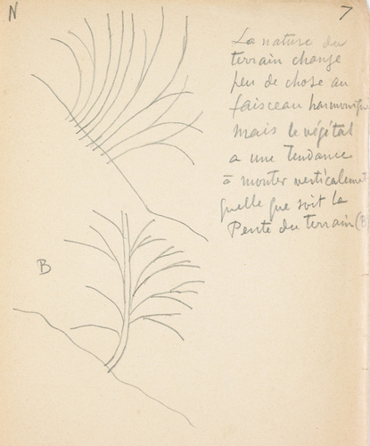 Eugène Grasset - Arbres en pente
