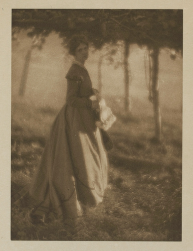 Clarence Hudson White - The Arbor