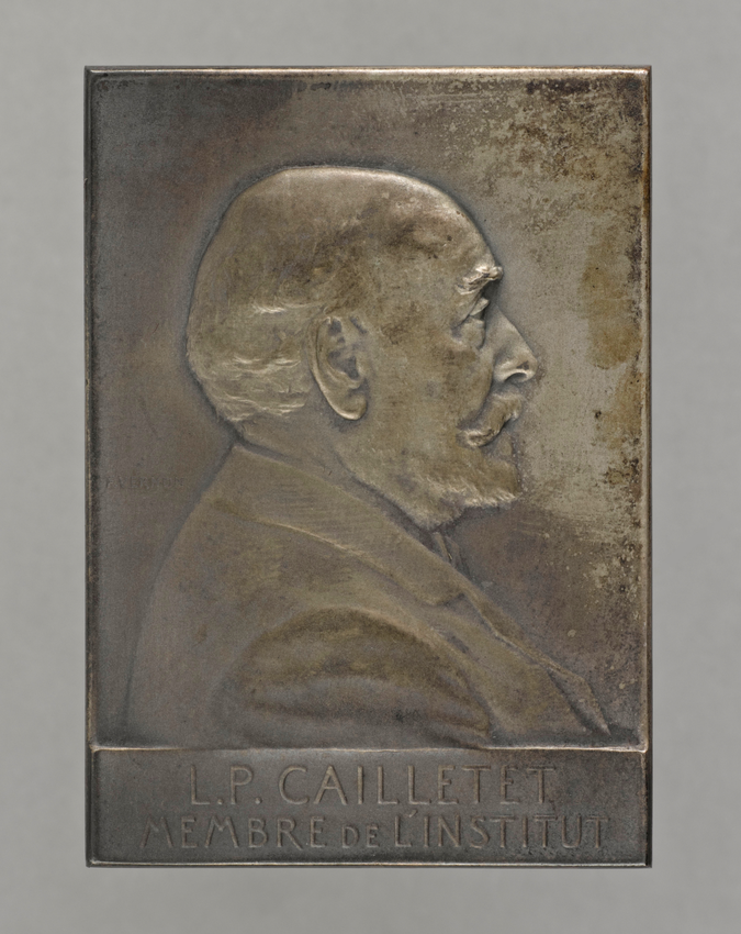 Frédéric de Vernon - Médaille du jubilé académique au nom de L. P. Cailletet, da...