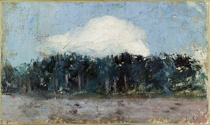 Edouard Vuillard - Nuage blanc sur la forêt