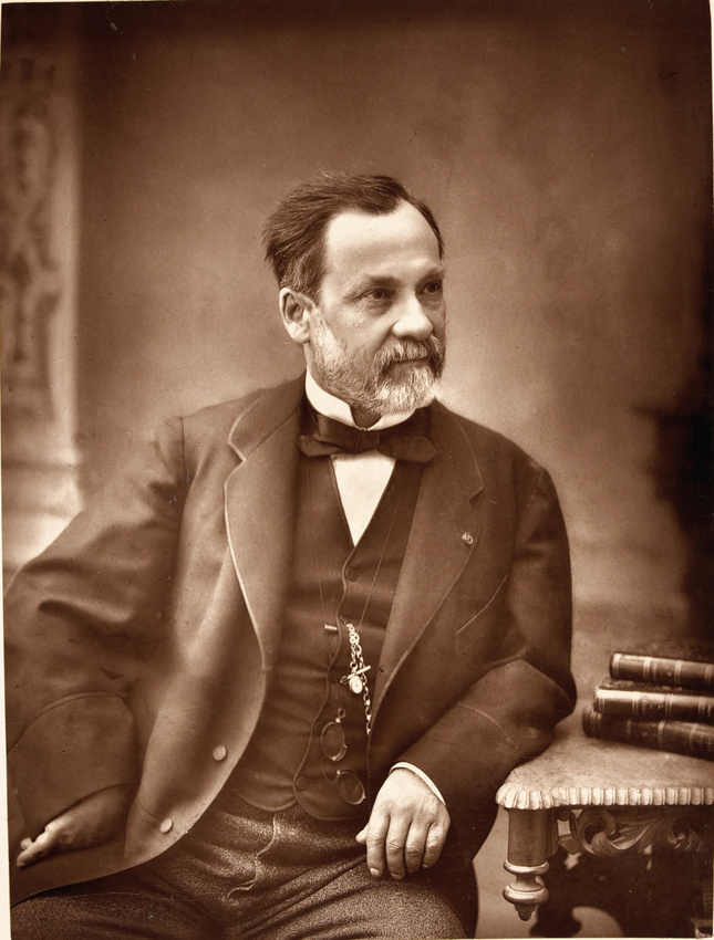 Eugène Pirou - Louis Pasteur