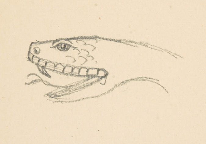 Eugène Grasset - Tête de reptile