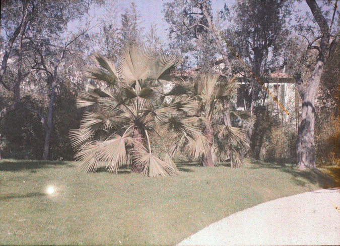 Anonyme - Beaulieu, la Villa Salles, le jardin