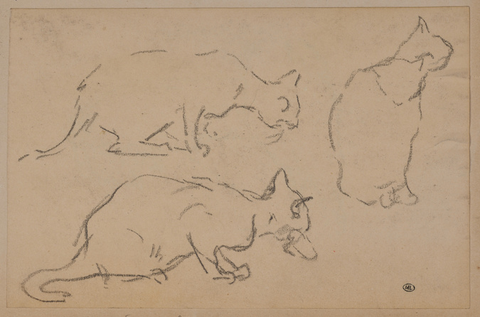 Théophile Alexandre Steinlen - Trois chats dont un assis, de dos