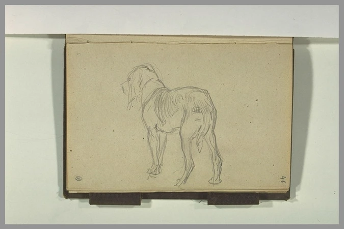 Léon Belly - Etude d'un chien