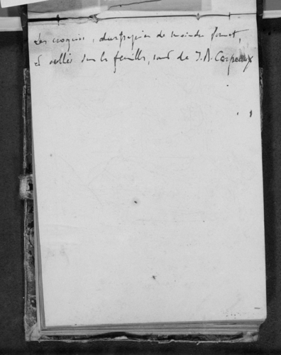 Elie Delaunay - Etude, et notes manuscrites (suite du texte du contreplat)