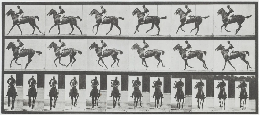 Eadweard Muybridge - Cheval au galop
