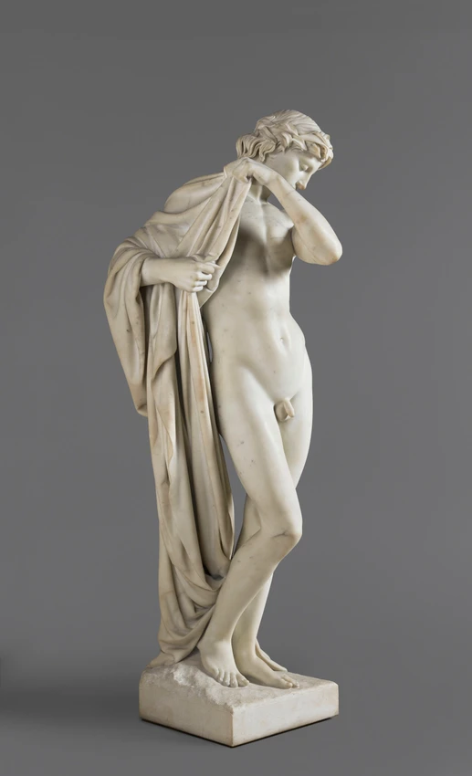 Narcisse - Paul Dubois