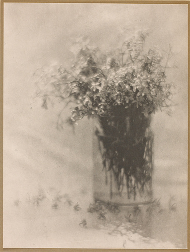 Adolphe Meyer - Still Life