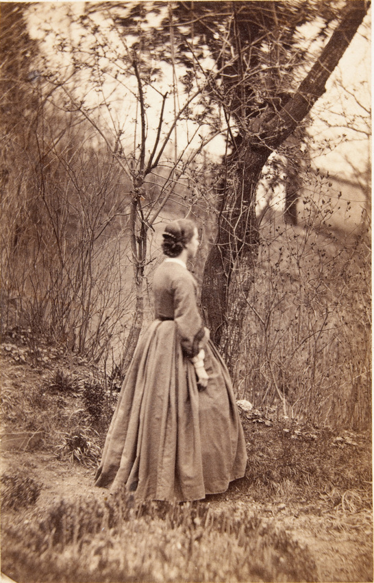 Achille Bonnuit - Profil d'une femme dans un jardin
