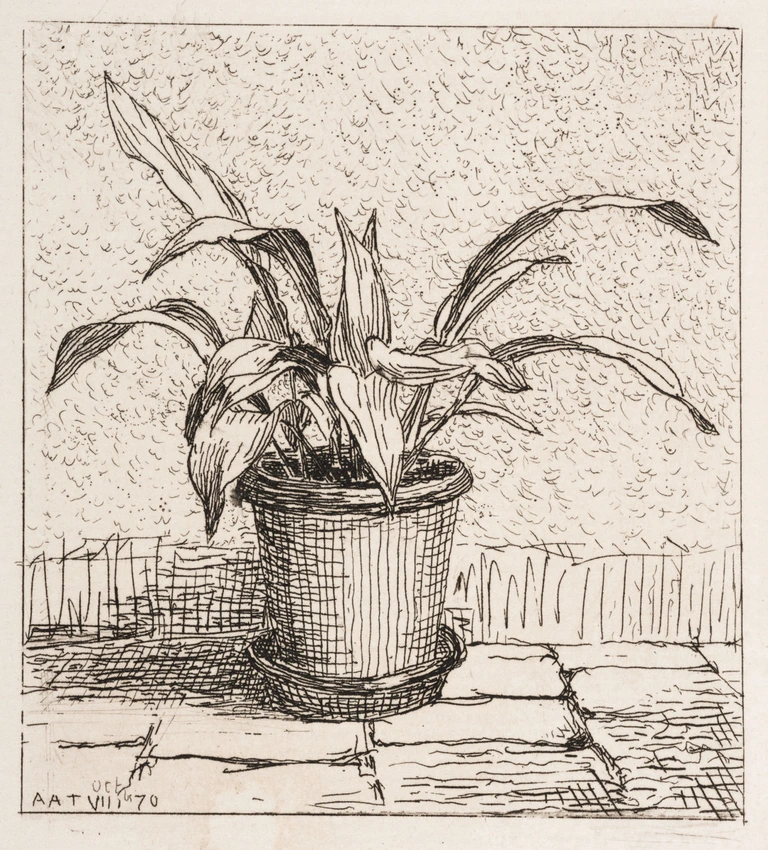Plante en pot - Arthur Algernon Taylor