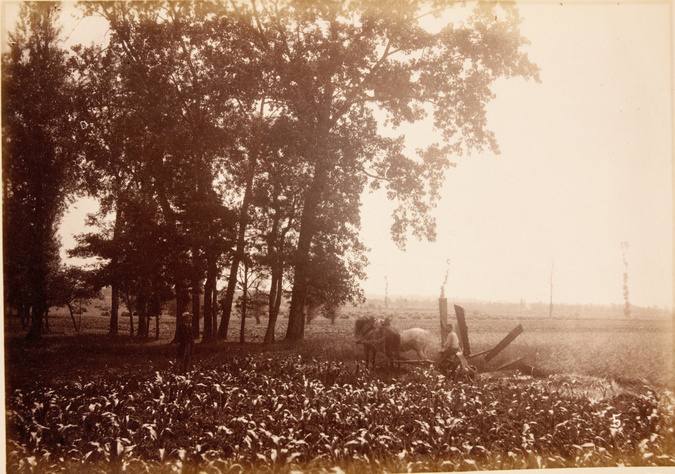 Anonyme - Madron : vue prise de la propriété