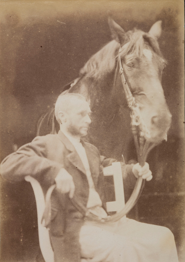 Jacques De Lalaing - Modèle masculin et cheval, têtes tournées vers la gauche