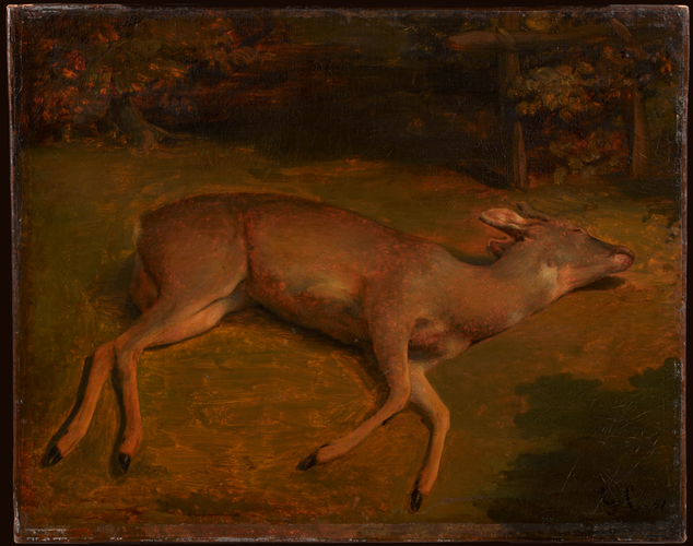 Gustave Courbet - Biche morte